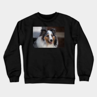 Sheltie Crewneck Sweatshirt